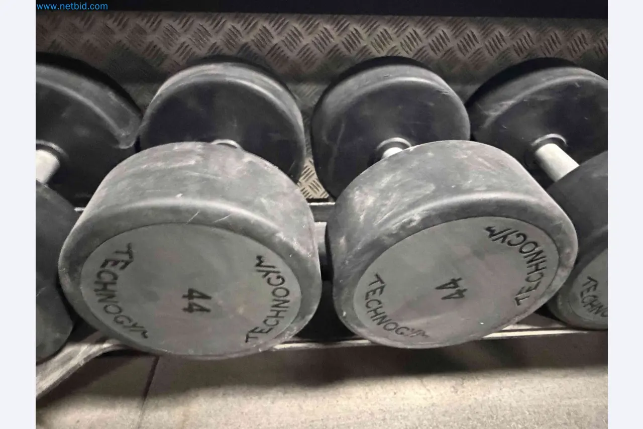 Auction of Used Technogym Gym Equipment – Professional Fitness Machines-1