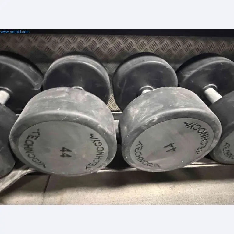 Auction of Used Technogym Gym Equipment – Professional Fitness Machines-1