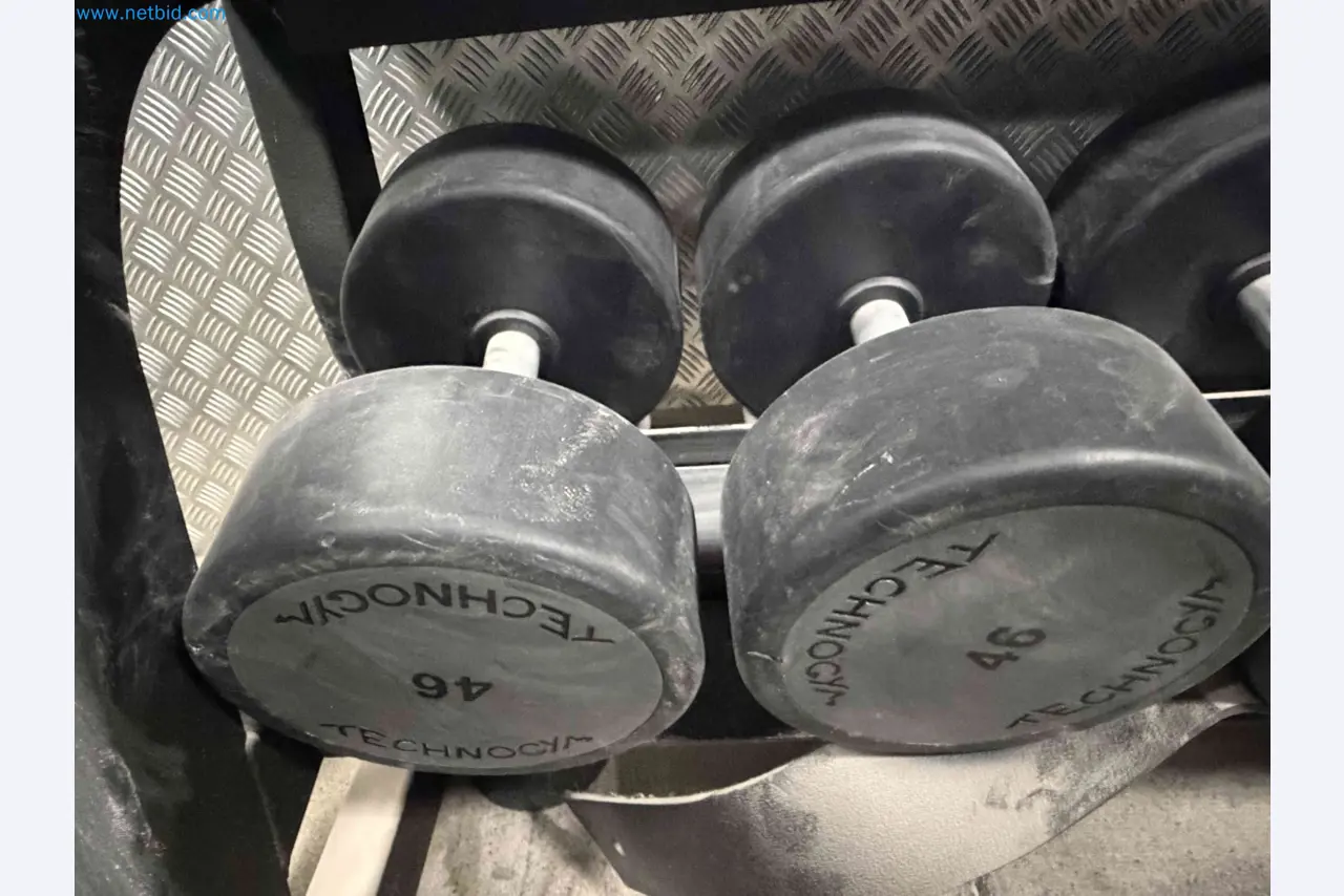 Auction of Used Technogym Gym Equipment – Professional Fitness Machines-2