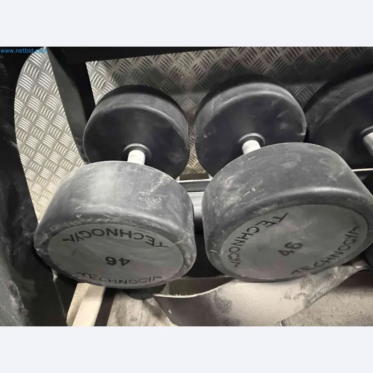 Auction of Used Technogym Gym Equipment – Professional Fitness Machines-2