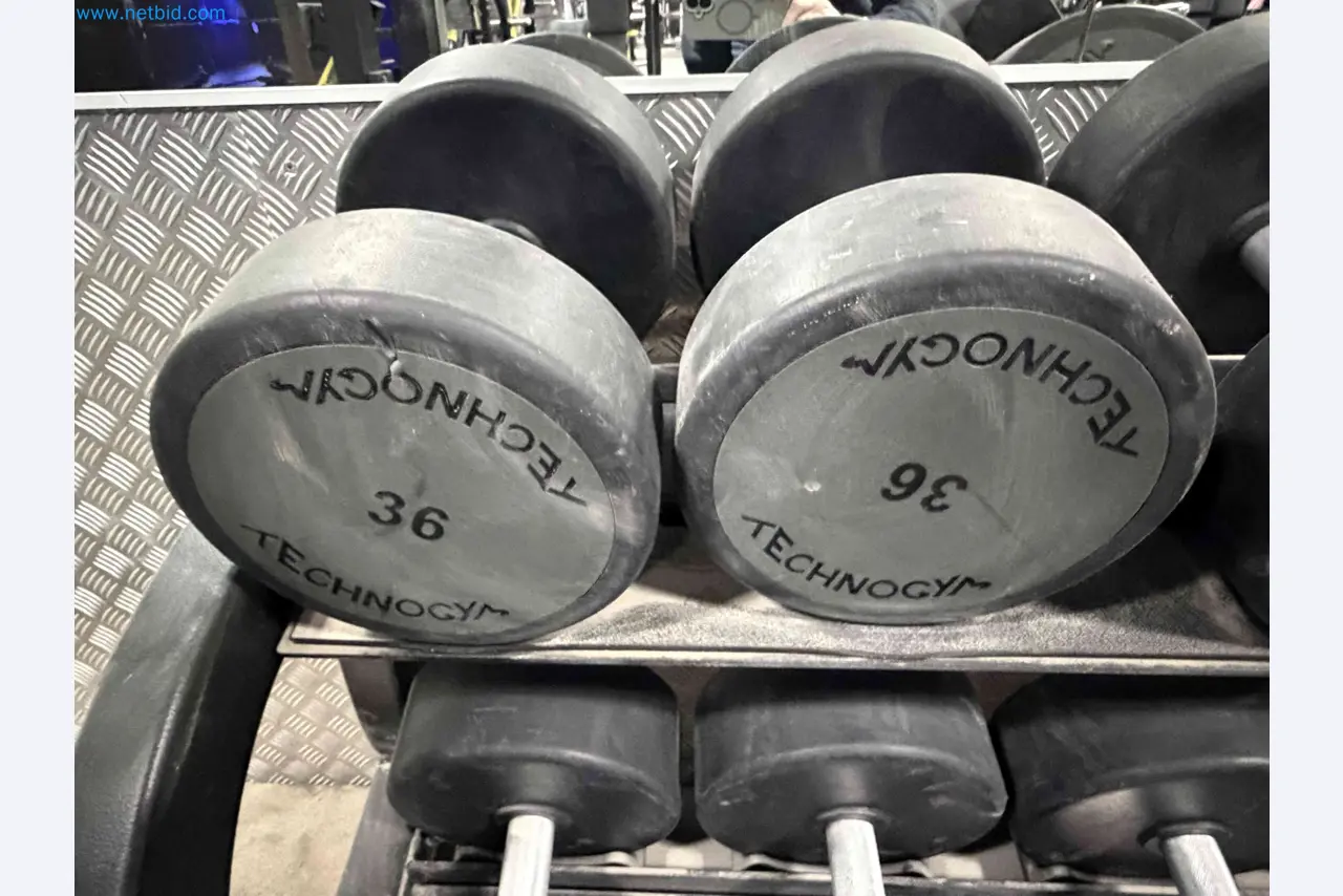 Auction of Used Technogym Gym Equipment – Professional Fitness Machines-3