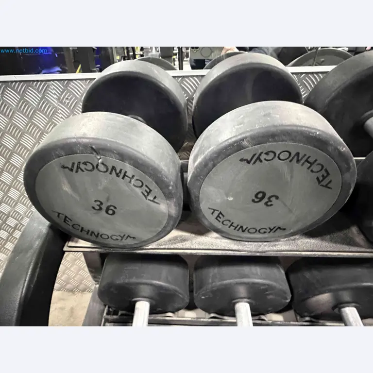 Auction of Used Technogym Gym Equipment – Professional Fitness Machines-3