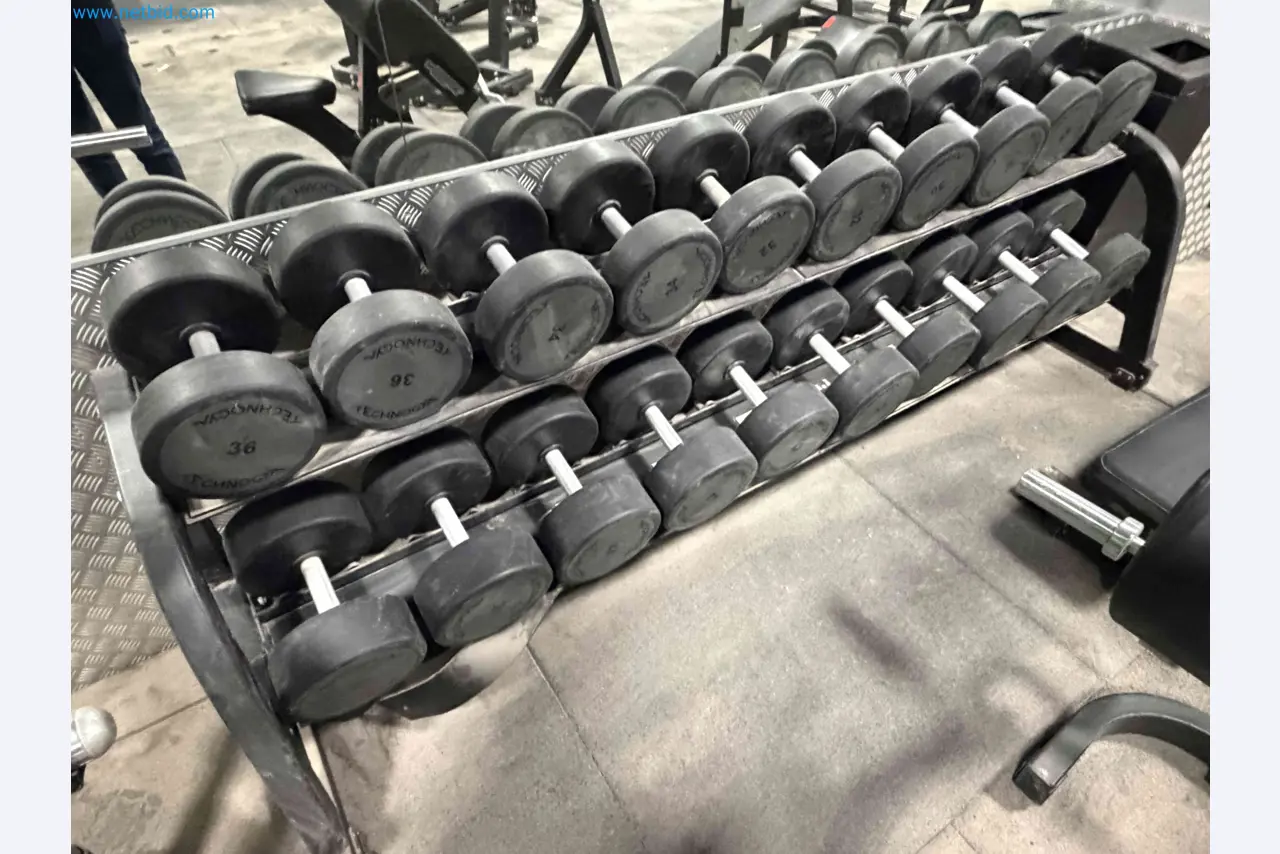 Auction of Used Technogym Gym Equipment – Professional Fitness Machines-4