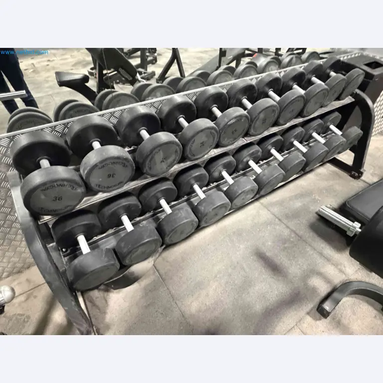 Auction of Used Technogym Gym Equipment – Professional Fitness Machines-4