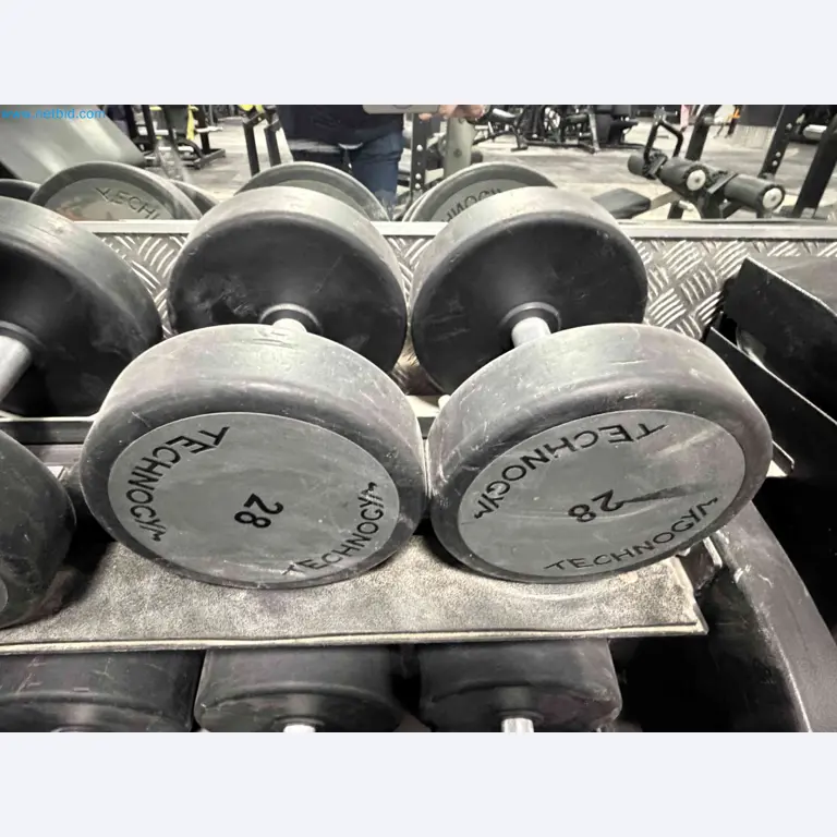 Auction of Used Technogym Gym Equipment – Professional Fitness Machines-5