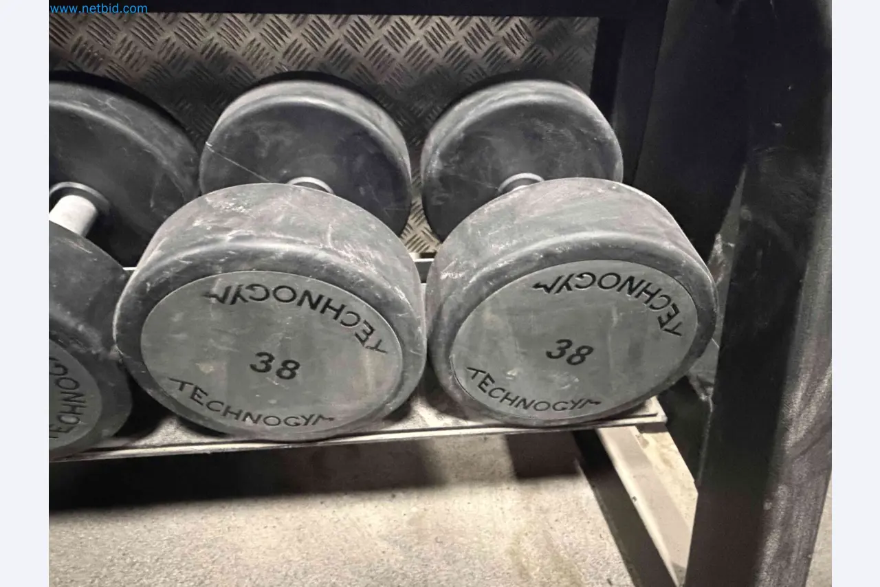 Auction of Used Technogym Gym Equipment – Professional Fitness Machines-6