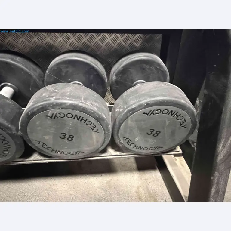 Auction of Used Technogym Gym Equipment – Professional Fitness Machines-6
