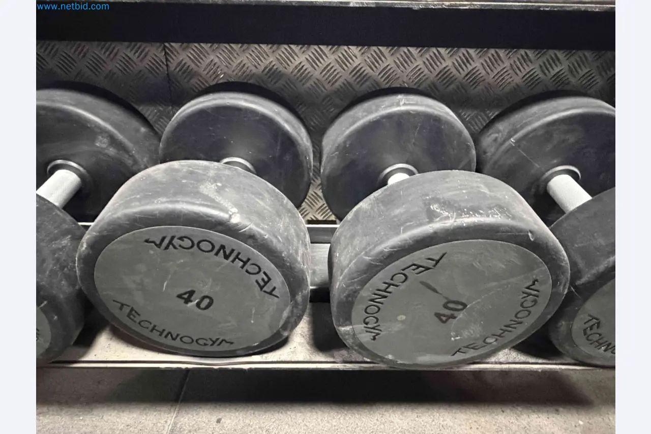 Auction of Used Technogym Gym Equipment – Professional Fitness Machines-7