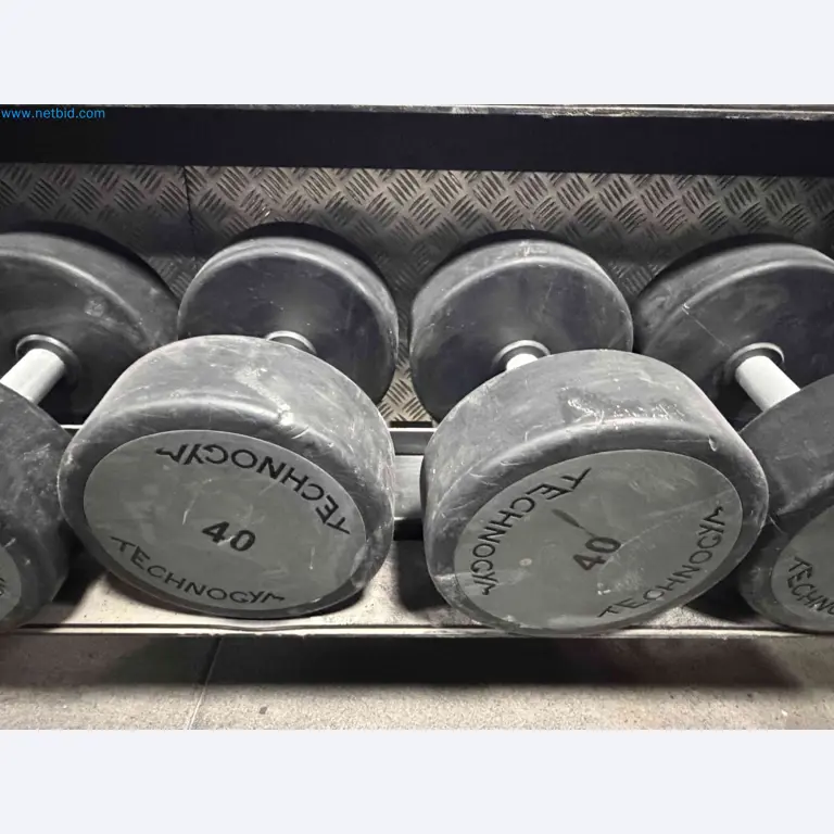 Auction of Used Technogym Gym Equipment – Professional Fitness Machines-7