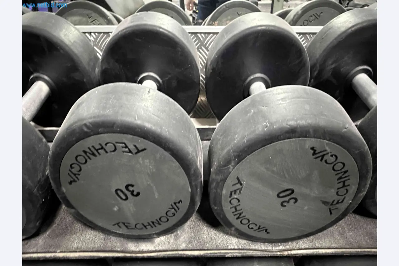 Auction of Used Technogym Gym Equipment – Professional Fitness Machines-8