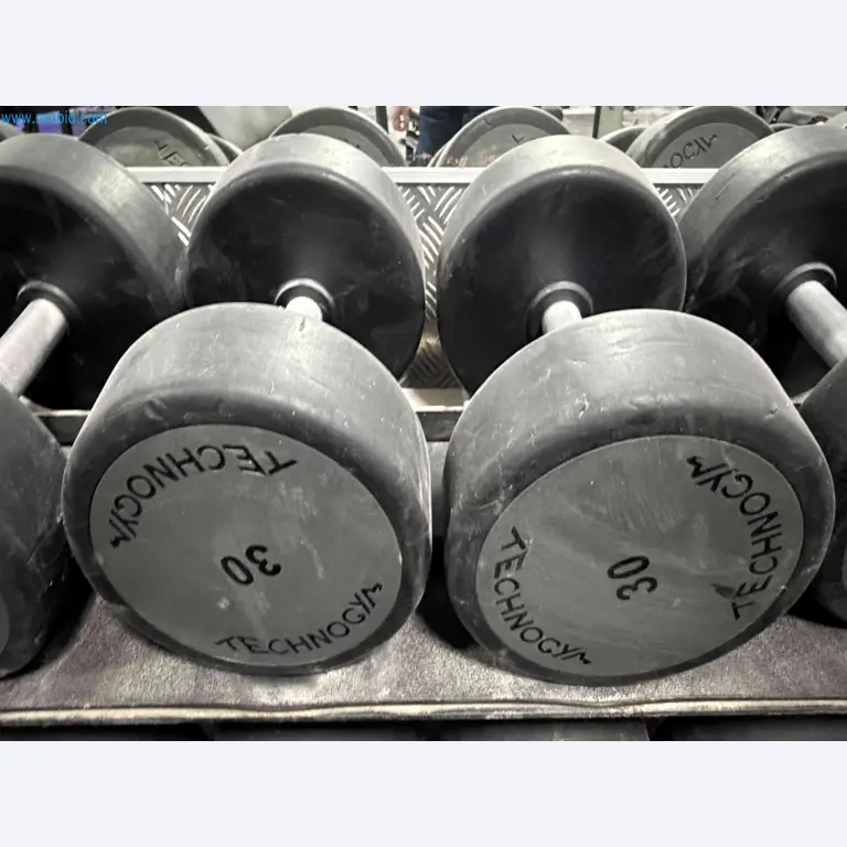 Auction of Used Technogym Gym Equipment – Professional Fitness Machines-8