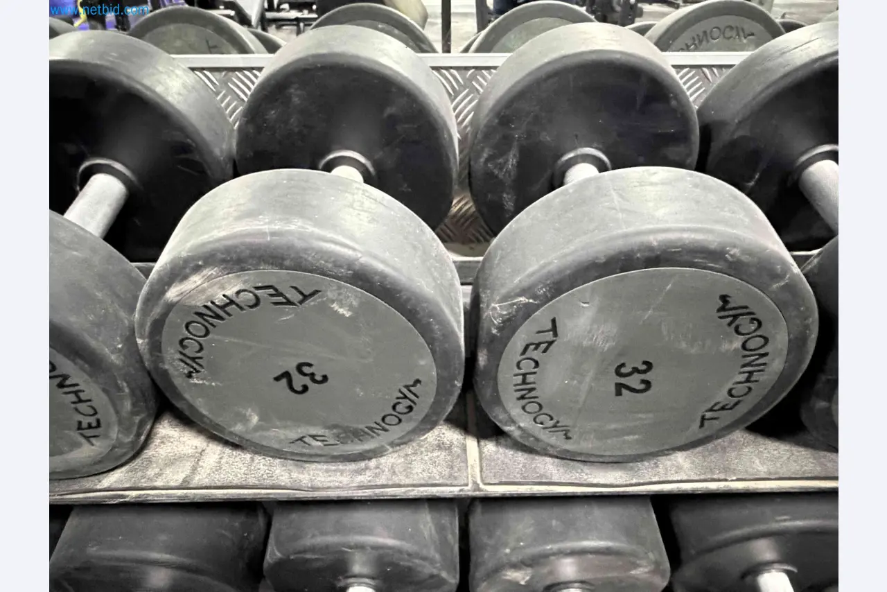 Auction of Used Technogym Gym Equipment – Professional Fitness Machines-9