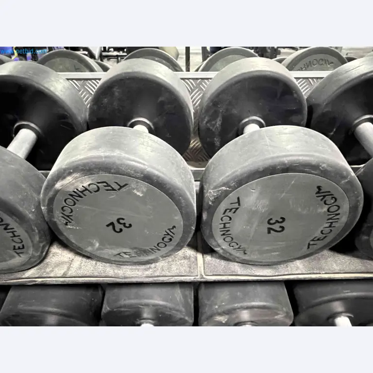 Auction of Used Technogym Gym Equipment – Professional Fitness Machines-9