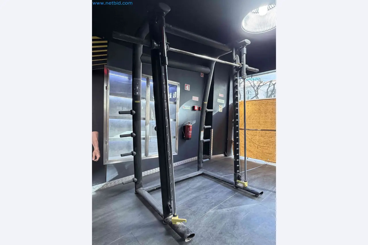 Aukce použitého fitness vybavení Technogym - Profesionální fitness vybavení-1