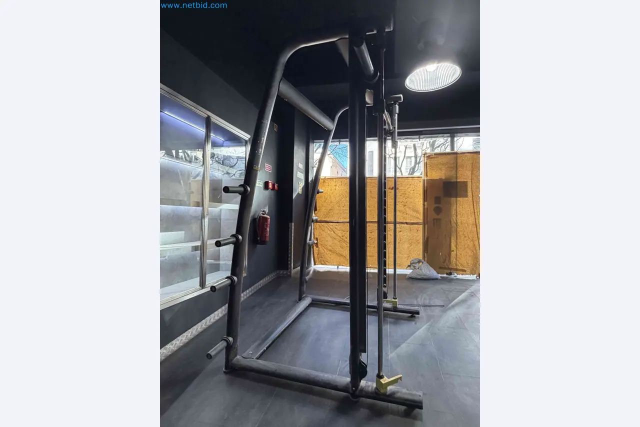 Aukce použitého fitness vybavení Technogym - Profesionální fitness vybavení-2