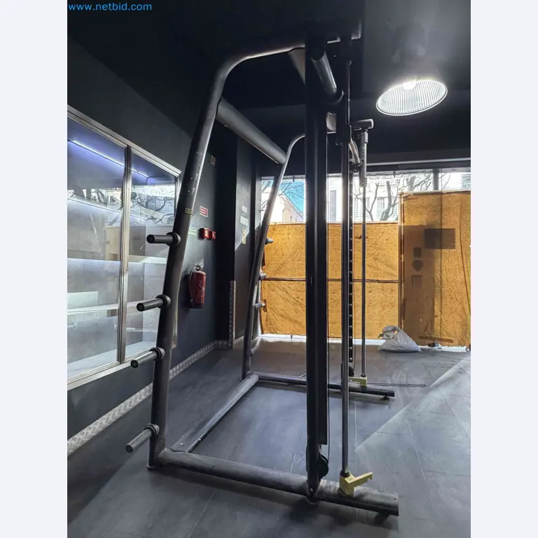Aukce použitého fitness vybavení Technogym - Profesionální fitness vybavení-2
