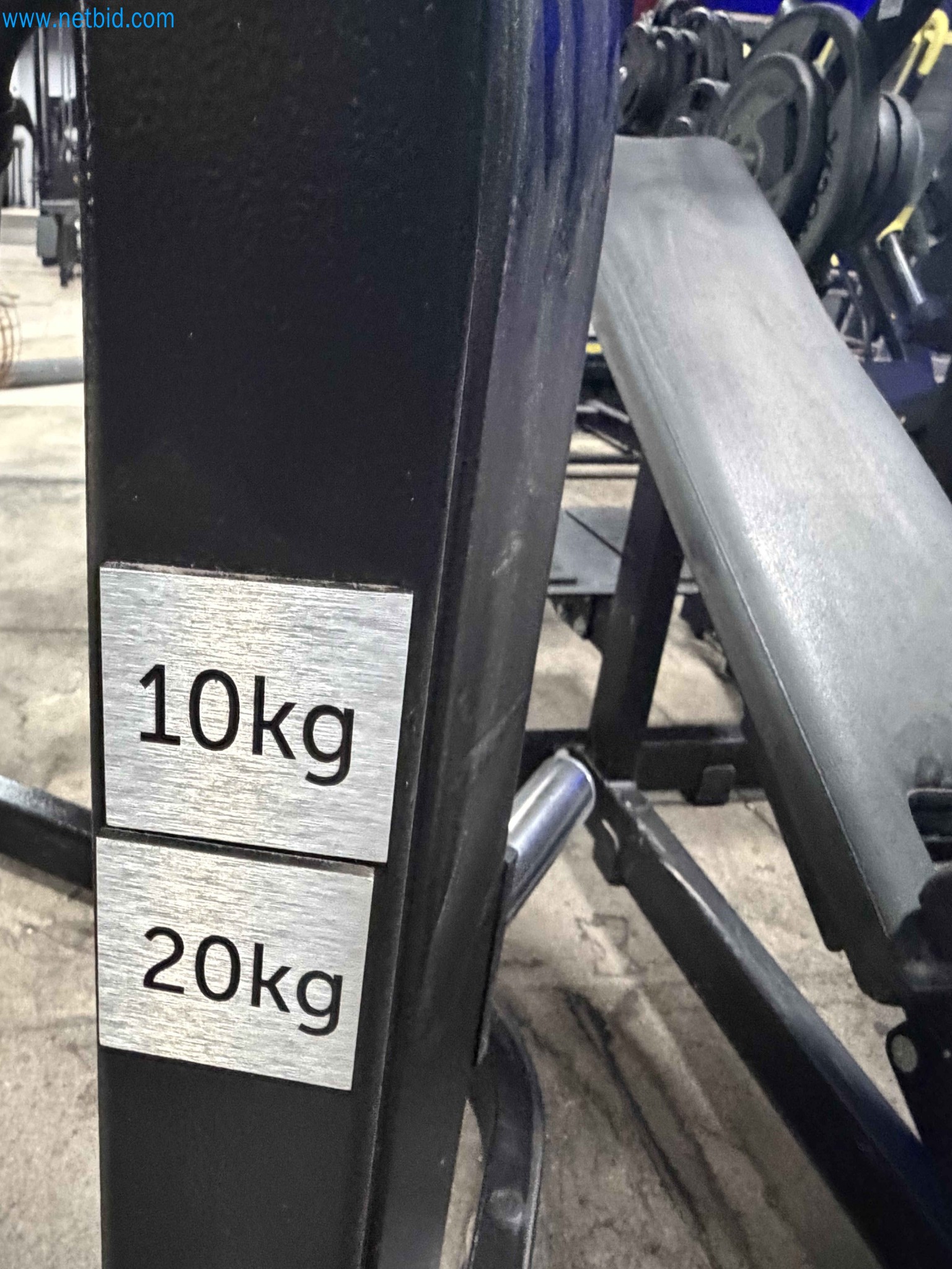 Auction of Used Technogym Gym Equipment – Professional Fitness Machines-3