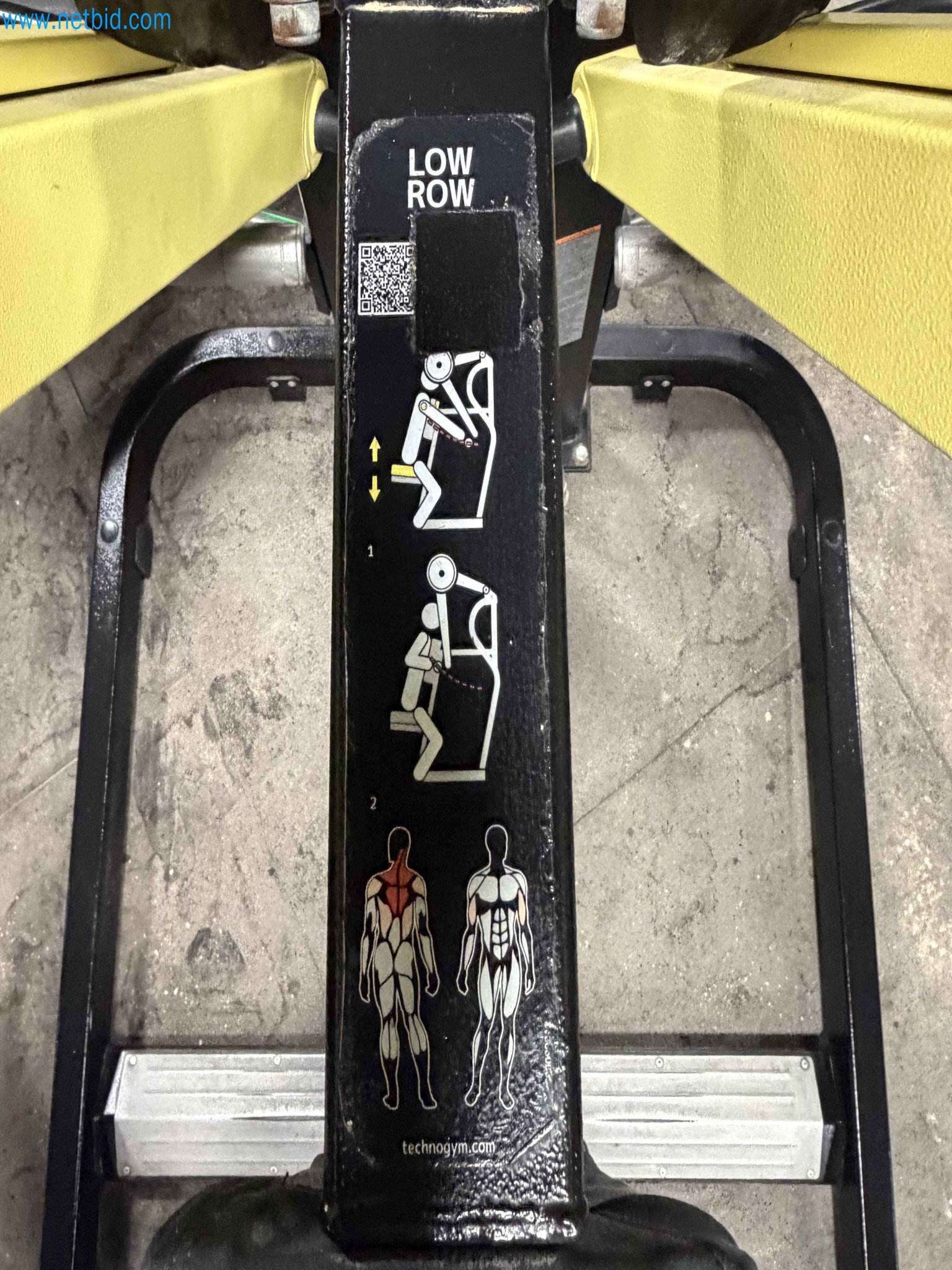 Auction of Used Technogym Gym Equipment – Professional Fitness Machines-8