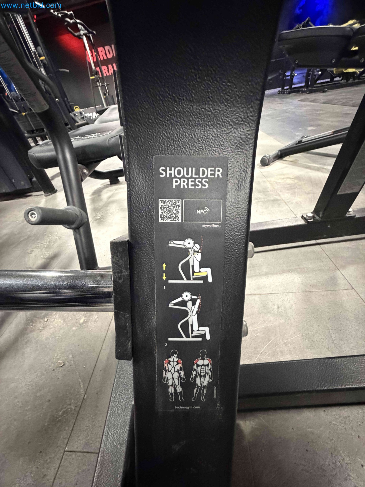 Auction of Used Technogym Gym Equipment – Professional Fitness Machines-3