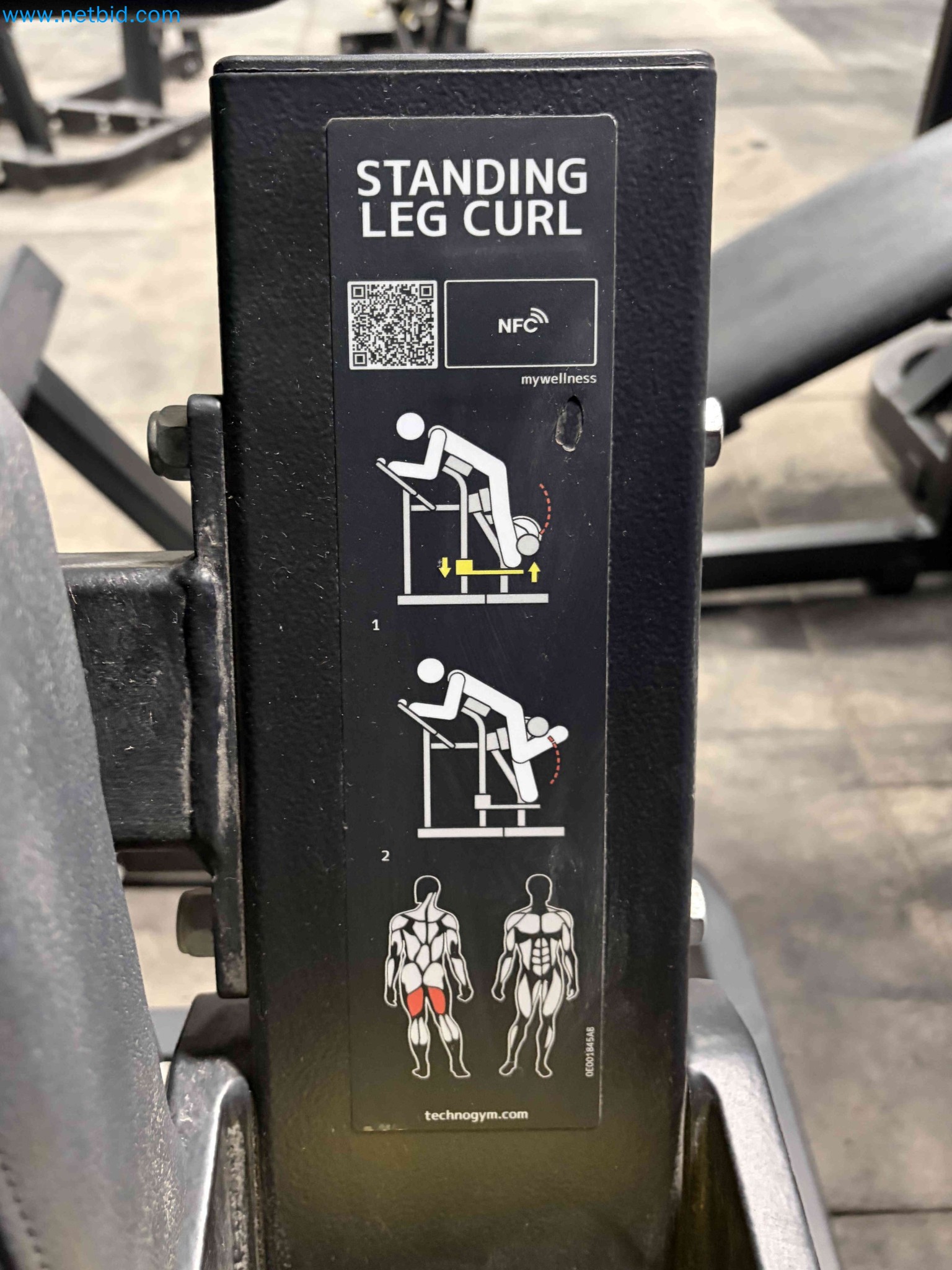 Auction of Used Technogym Gym Equipment – Professional Fitness Machines-3