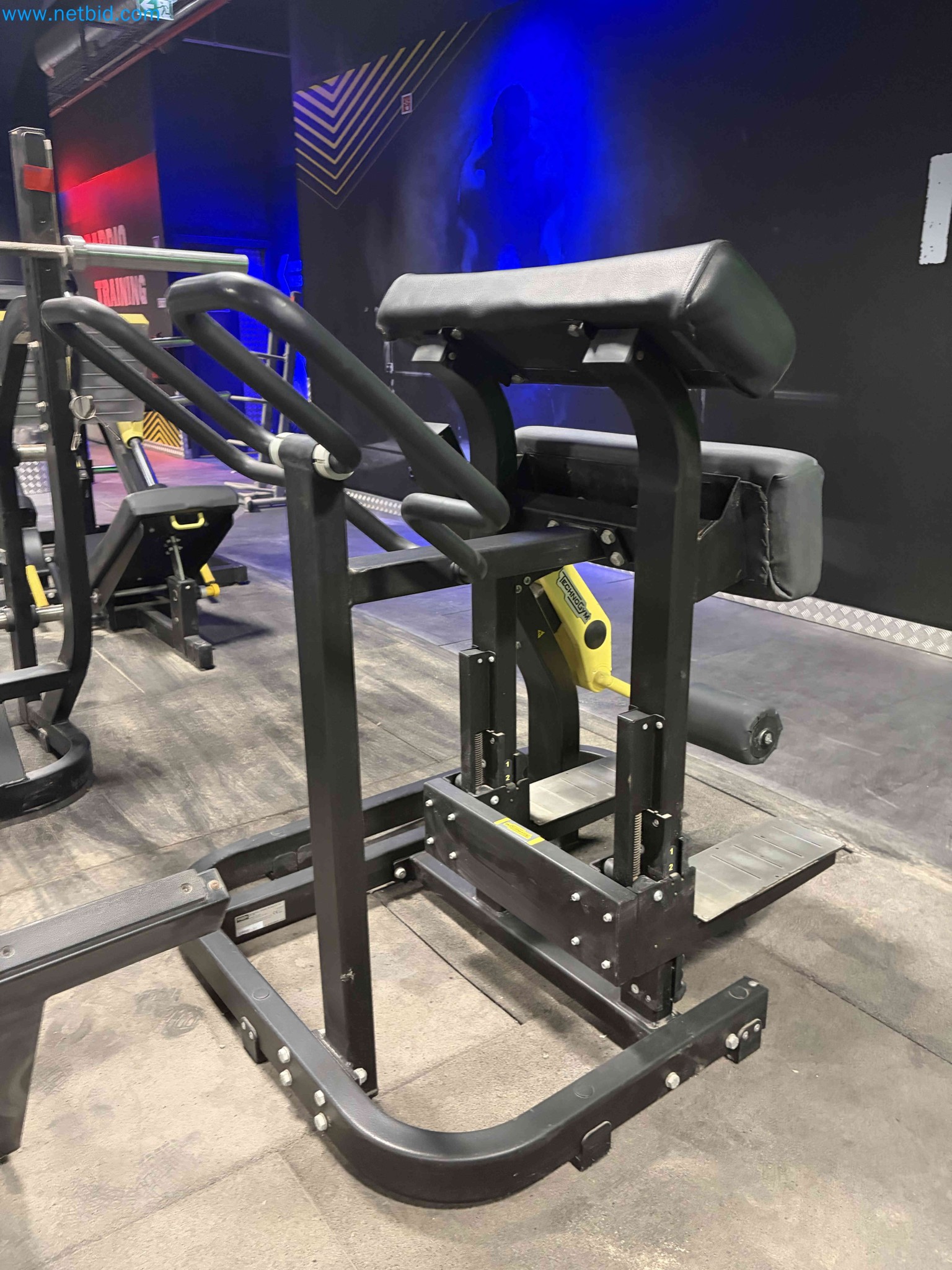 Auction of Used Technogym Gym Equipment – Professional Fitness Machines-7