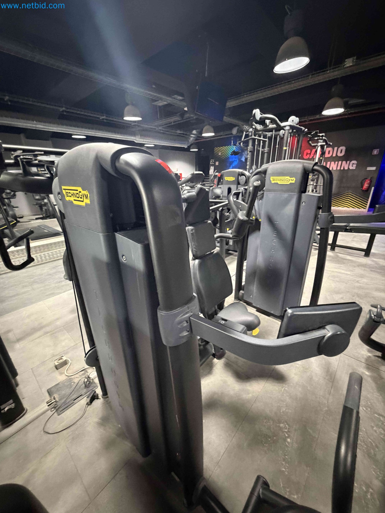 Auction of Used Technogym Gym Equipment – Professional Fitness Machines-5