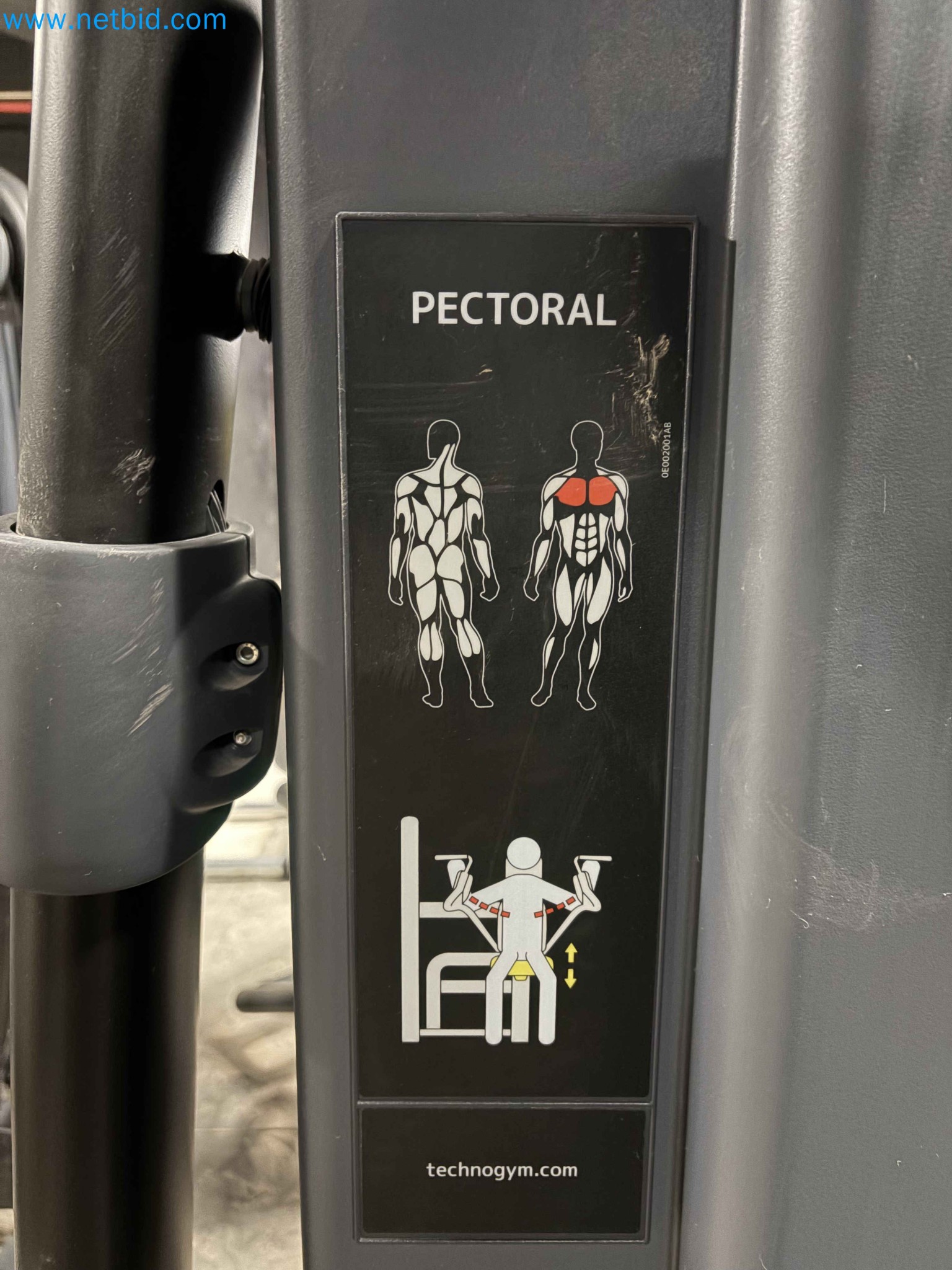 Auction of Used Technogym Gym Equipment – Professional Fitness Machines-8