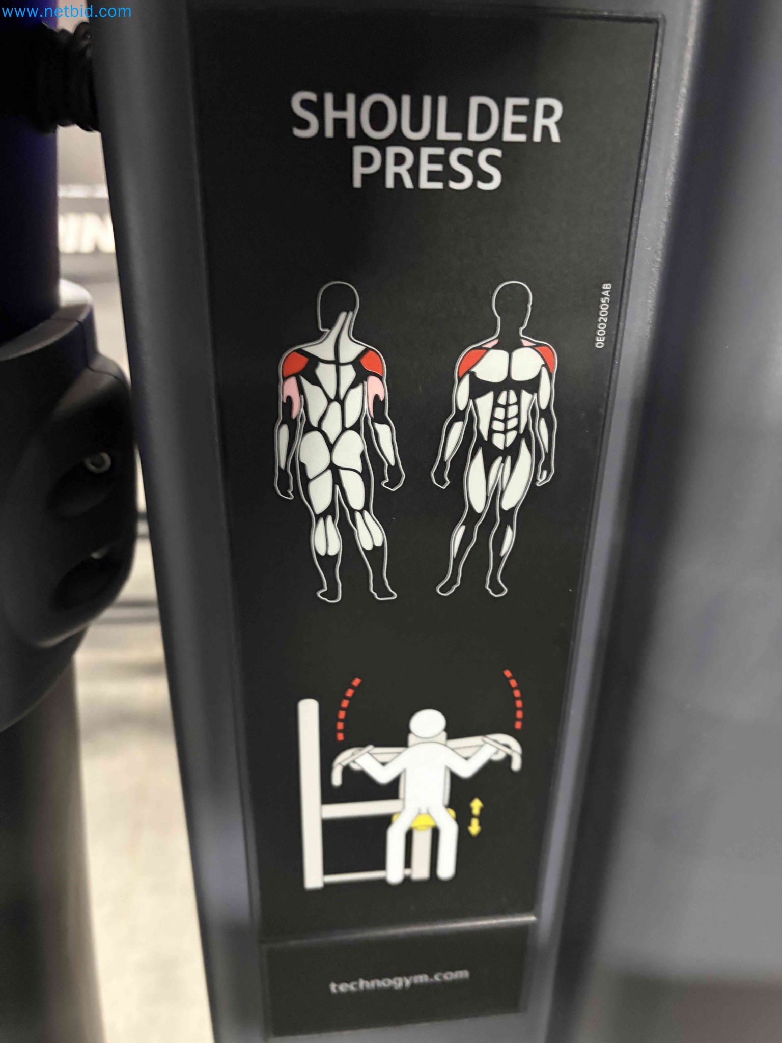 Auction of Used Technogym Gym Equipment – Professional Fitness Machines-4