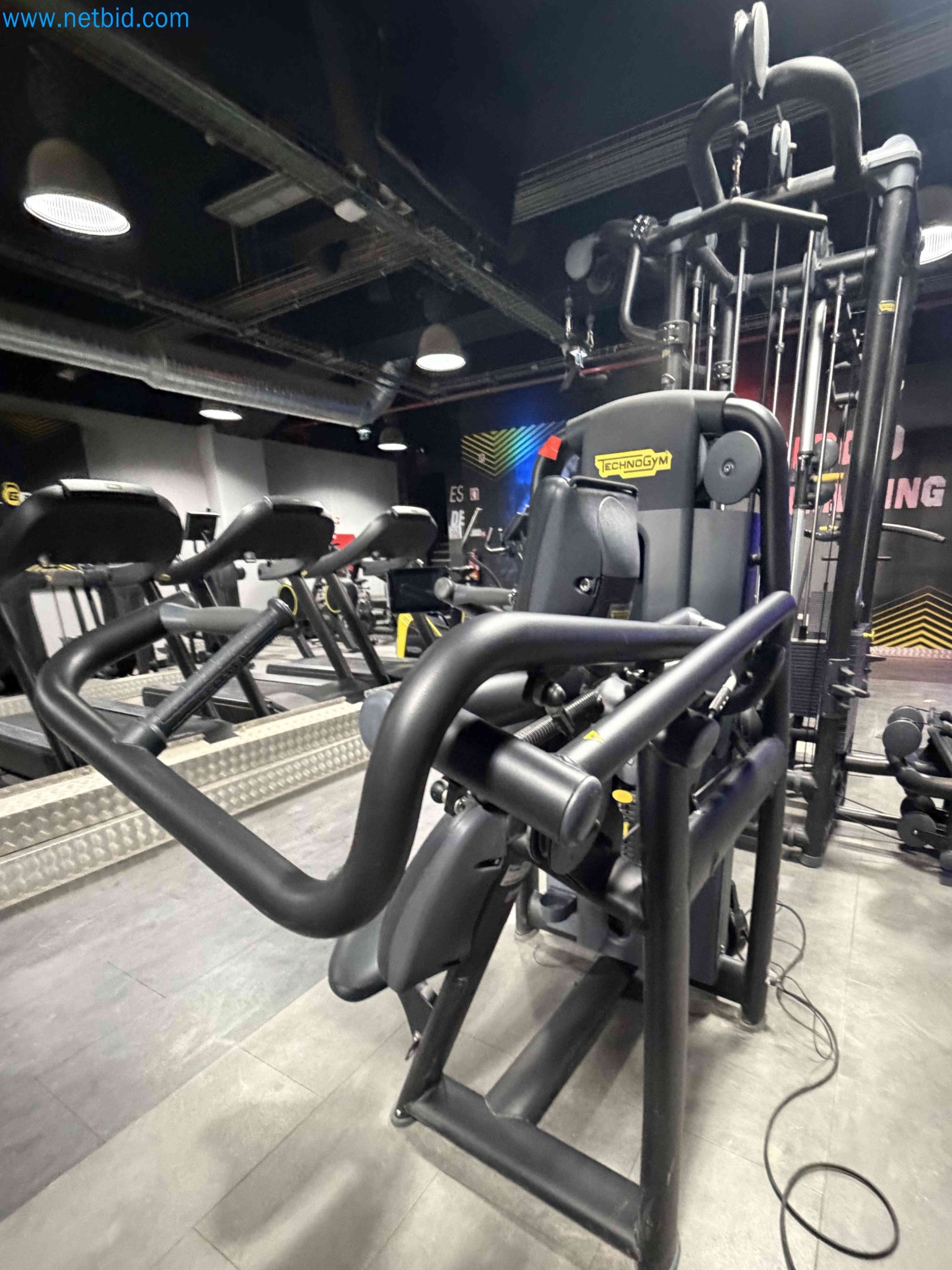 Auction of Used Technogym Gym Equipment – Professional Fitness Machines-8