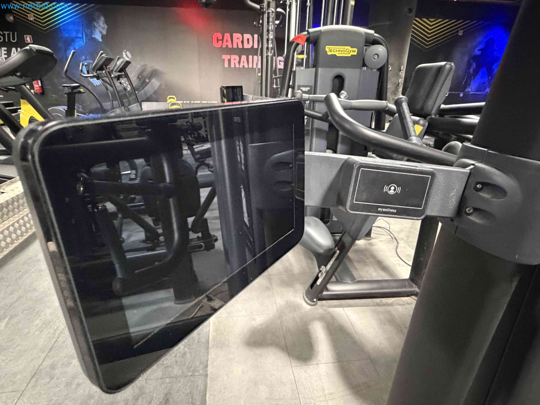 Auction of Used Technogym Gym Equipment – Professional Fitness Machines-4