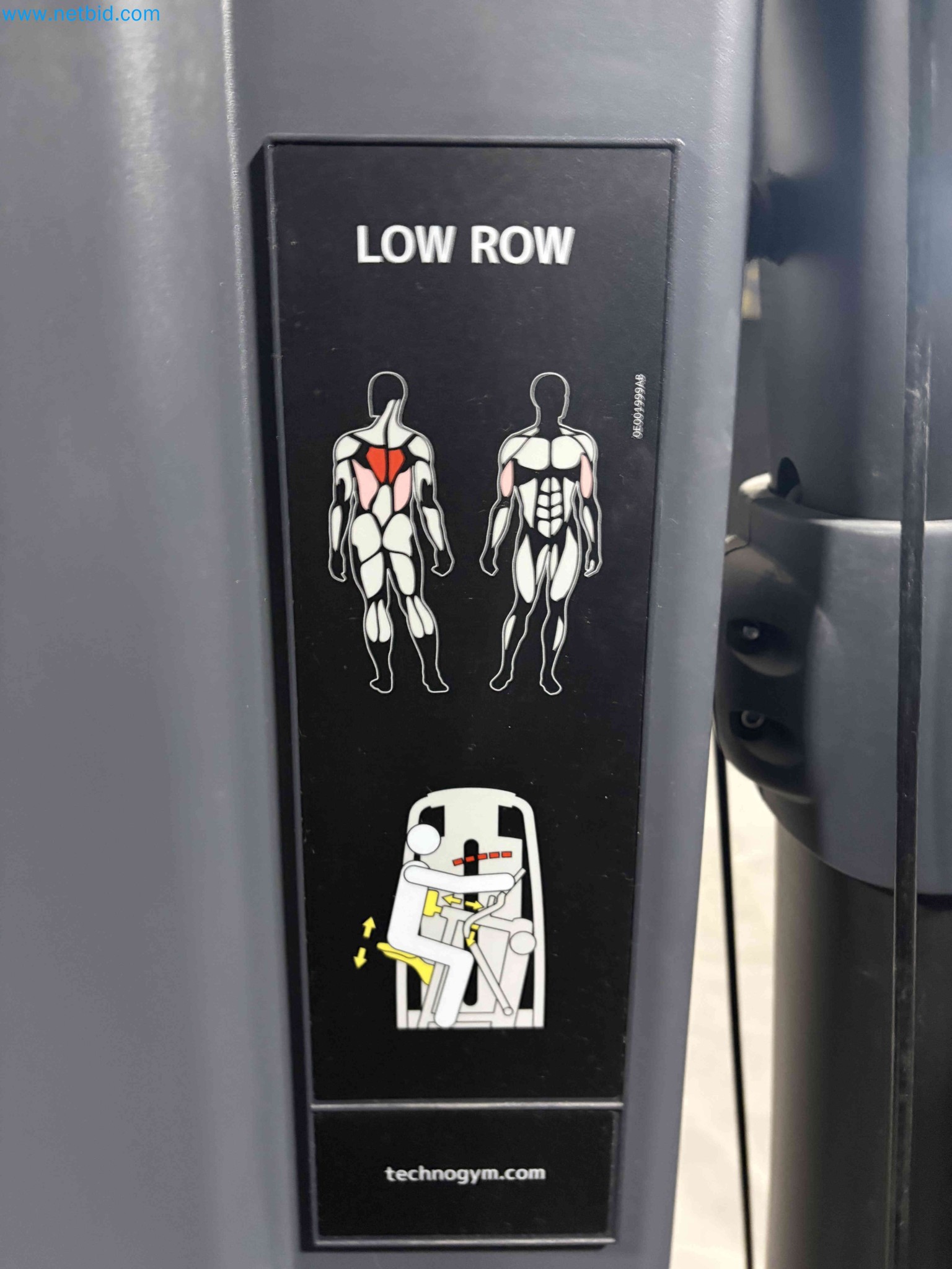 Auction of Used Technogym Gym Equipment – Professional Fitness Machines-3