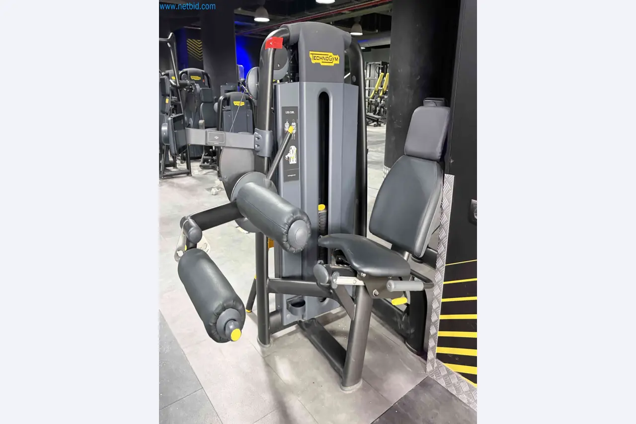 Auction of Used Technogym Gym Equipment – Professional Fitness Machines-10