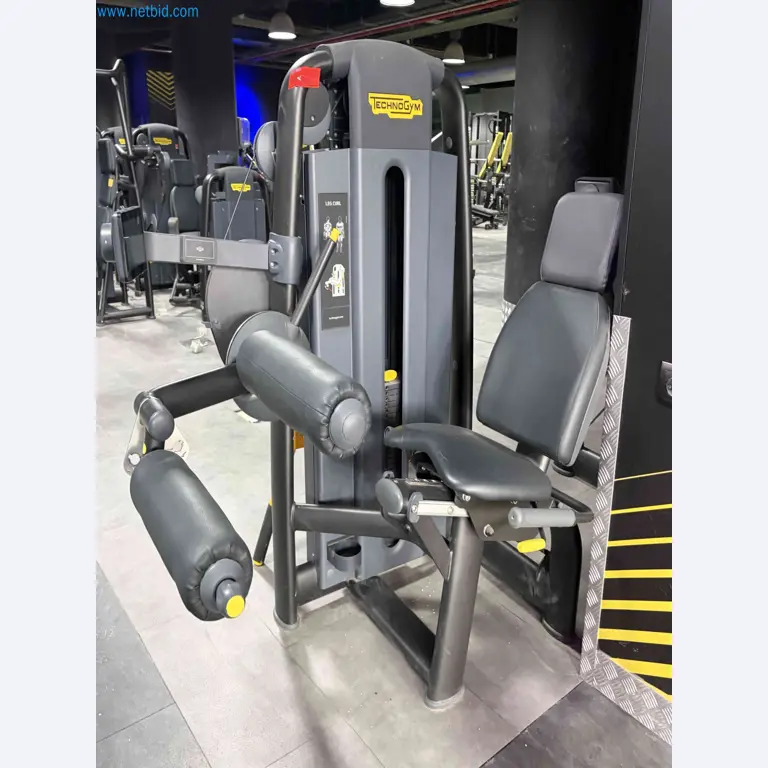 Auction of Used Technogym Gym Equipment – Professional Fitness Machines-10