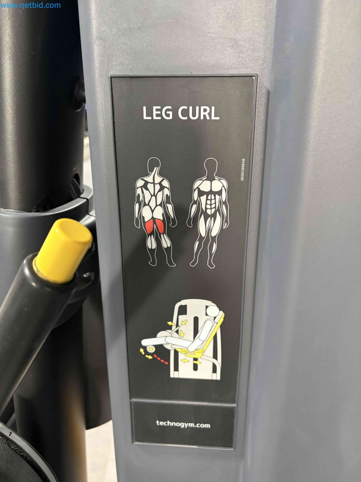 Auction of Used Technogym Gym Equipment – Professional Fitness Machines-2