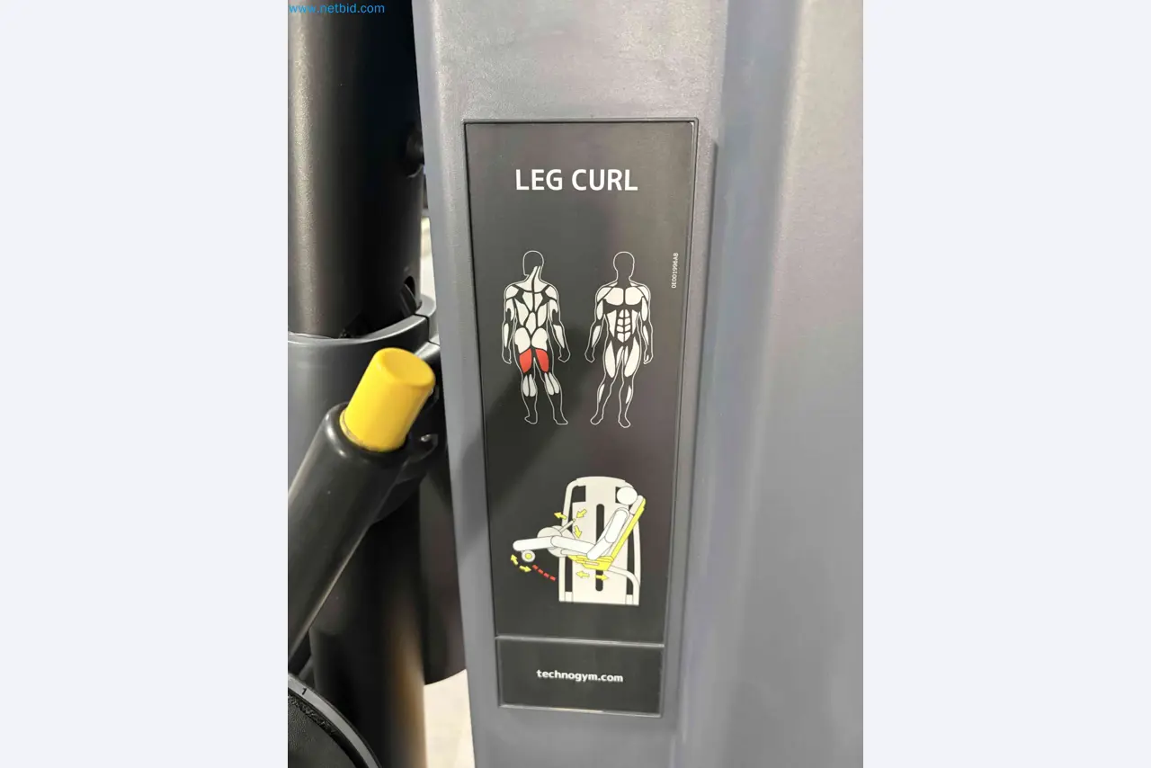 Auction of Used Technogym Gym Equipment – Professional Fitness Machines-2