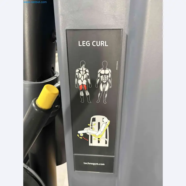 Auction of Used Technogym Gym Equipment – Professional Fitness Machines-2