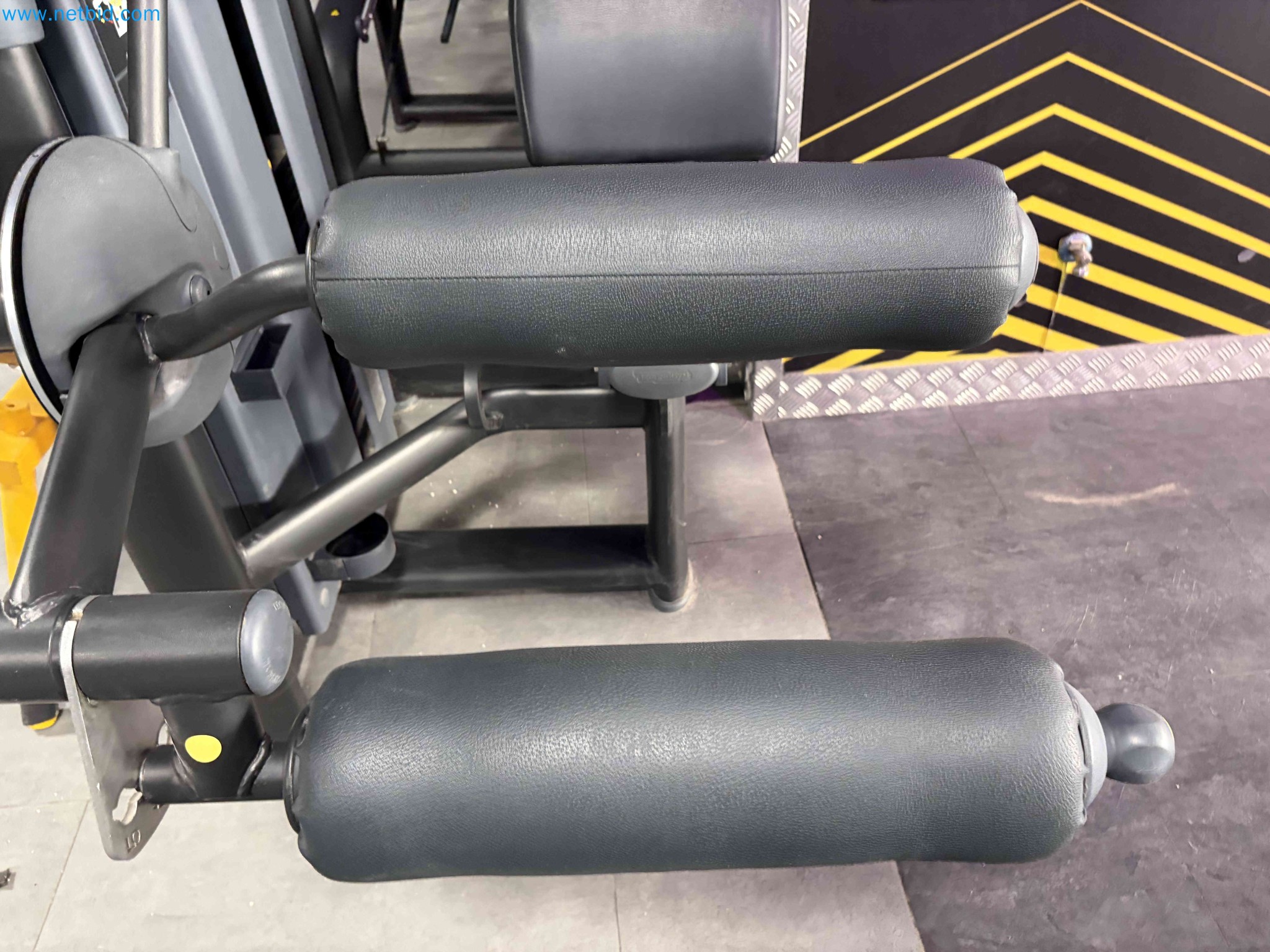 Auction of Used Technogym Gym Equipment – Professional Fitness Machines-5