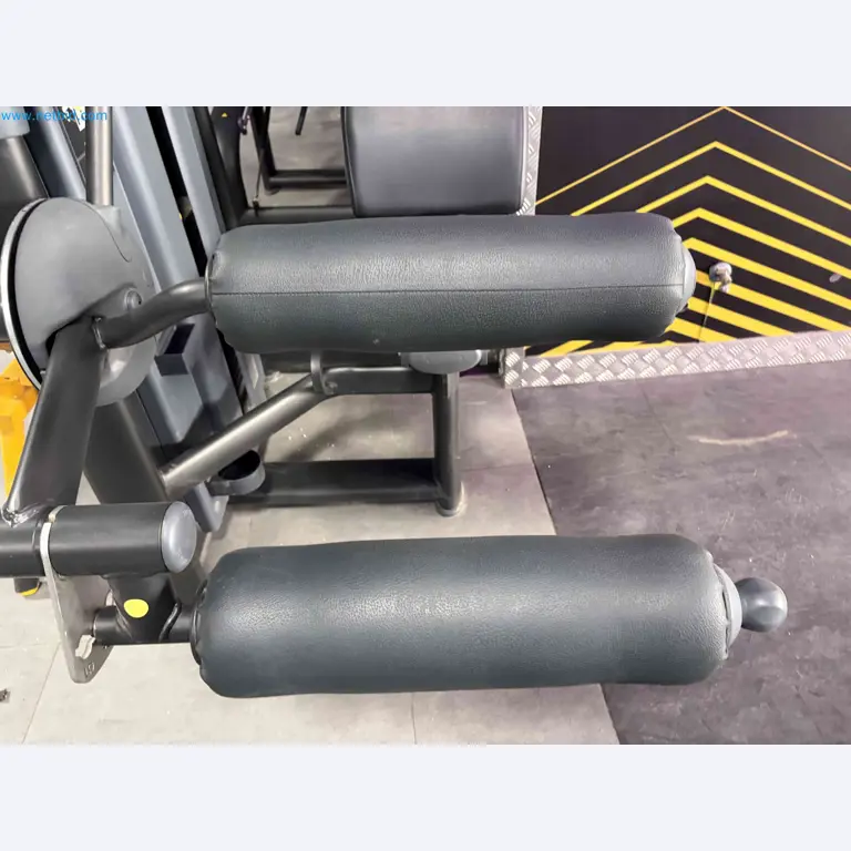 Auction of Used Technogym Gym Equipment – Professional Fitness Machines-5