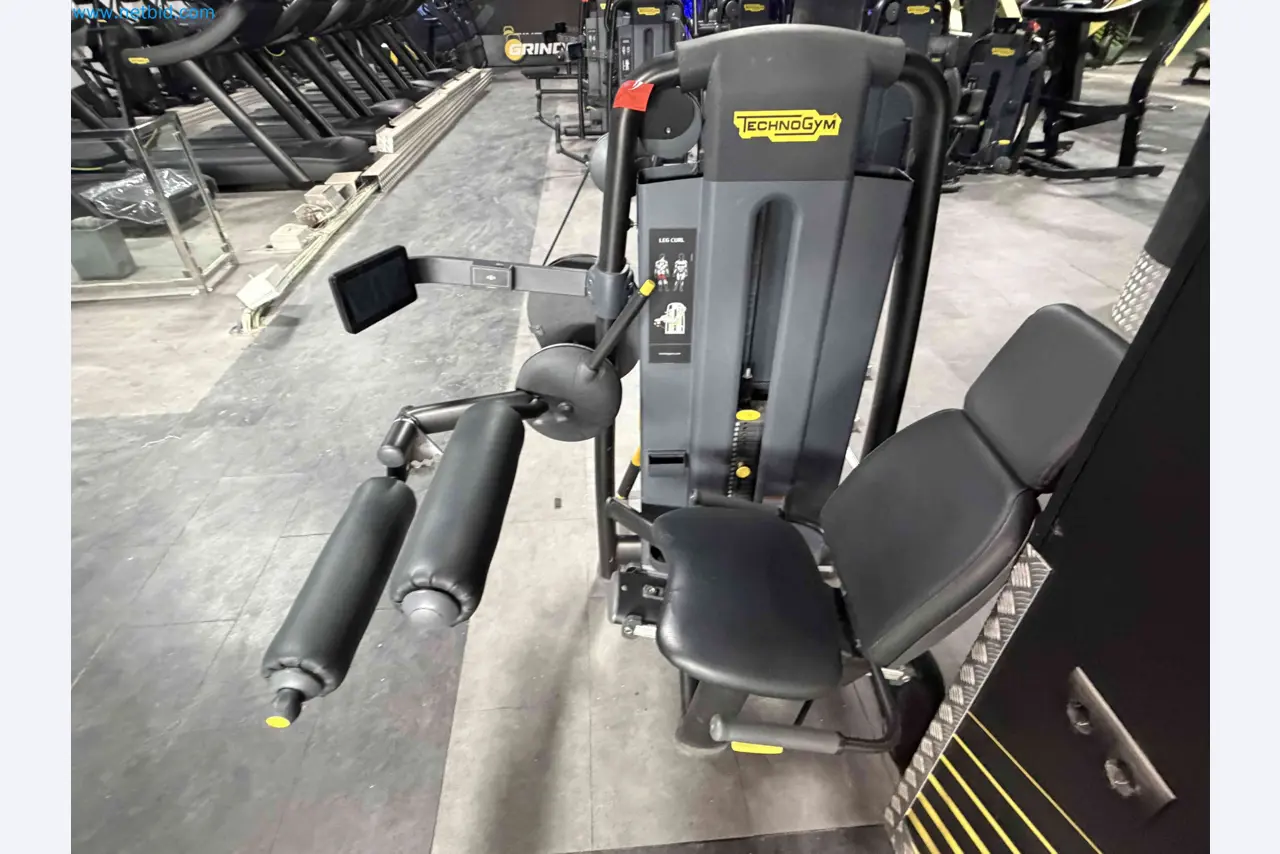 Auction of Used Technogym Gym Equipment – Professional Fitness Machines-8