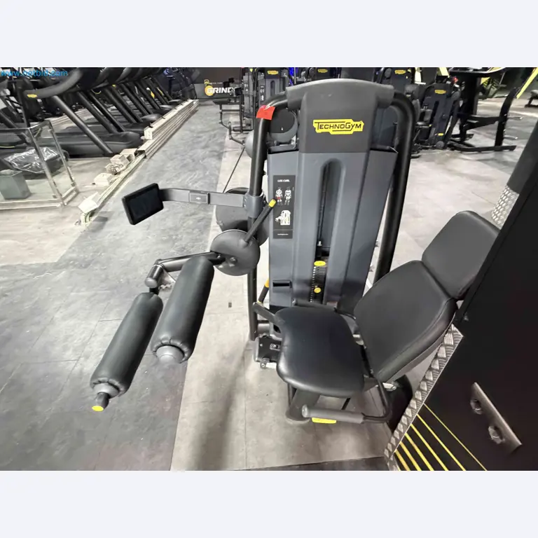 Auction of Used Technogym Gym Equipment – Professional Fitness Machines-8