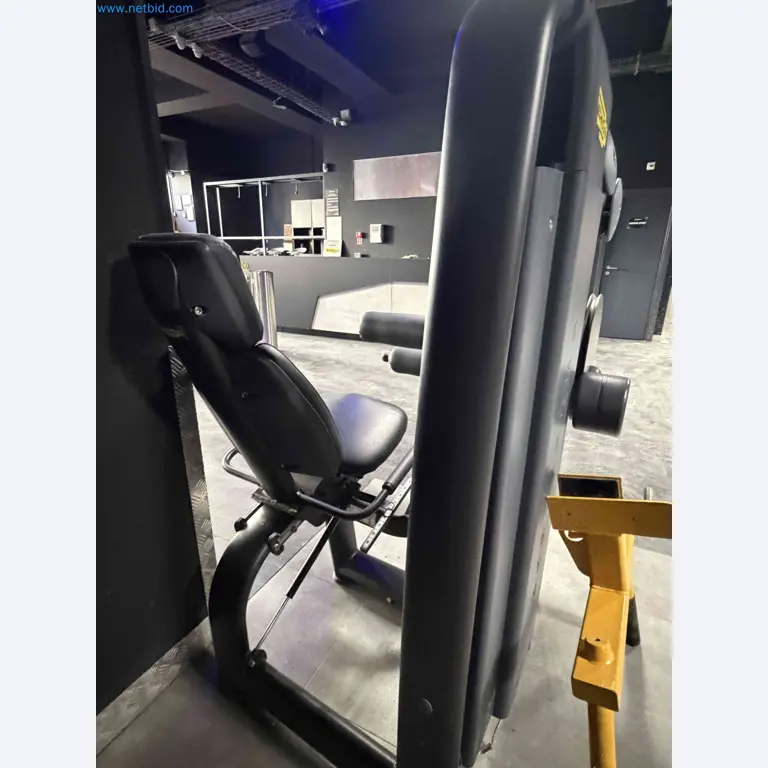 Auction of Used Technogym Gym Equipment – Professional Fitness Machines-9
