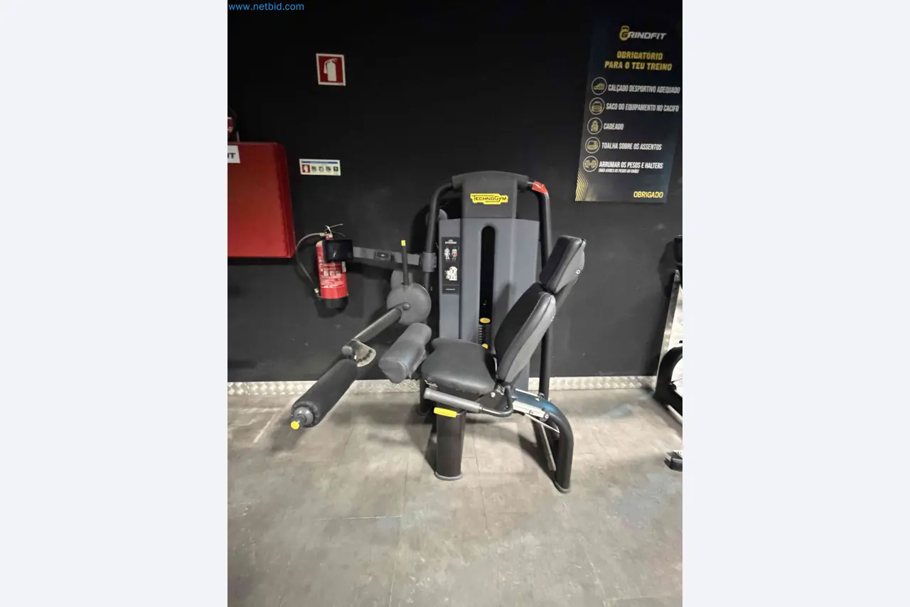 Leilão de Equipamentos de Ginásio Technogym Usados – Máquinas de Fitness Profissionais-1