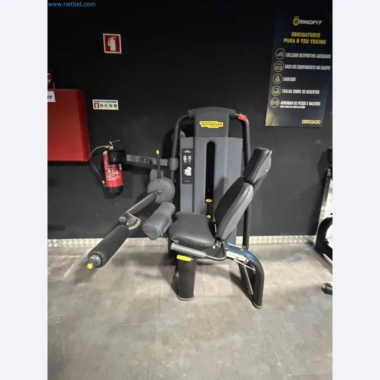 Leilão de Equipamentos de Ginásio Technogym Usados – Máquinas de Fitness Profissionais-1