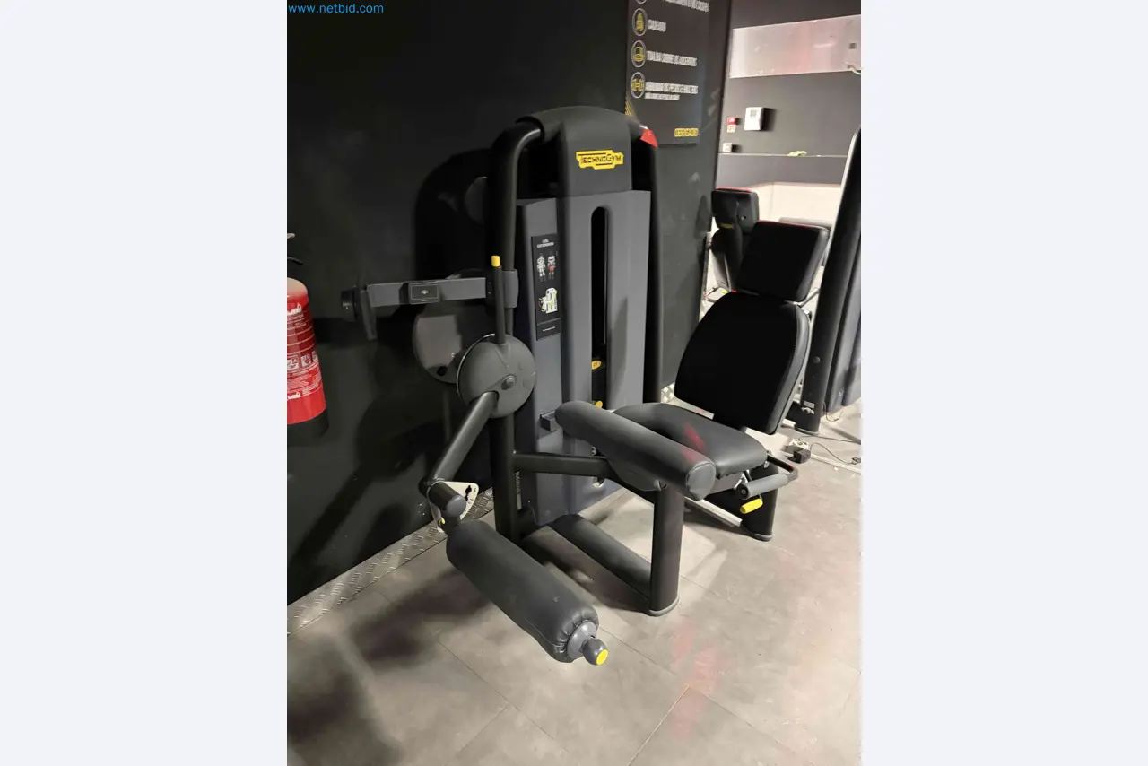 Leilão de Equipamentos de Ginásio Technogym Usados – Máquinas de Fitness Profissionais-2