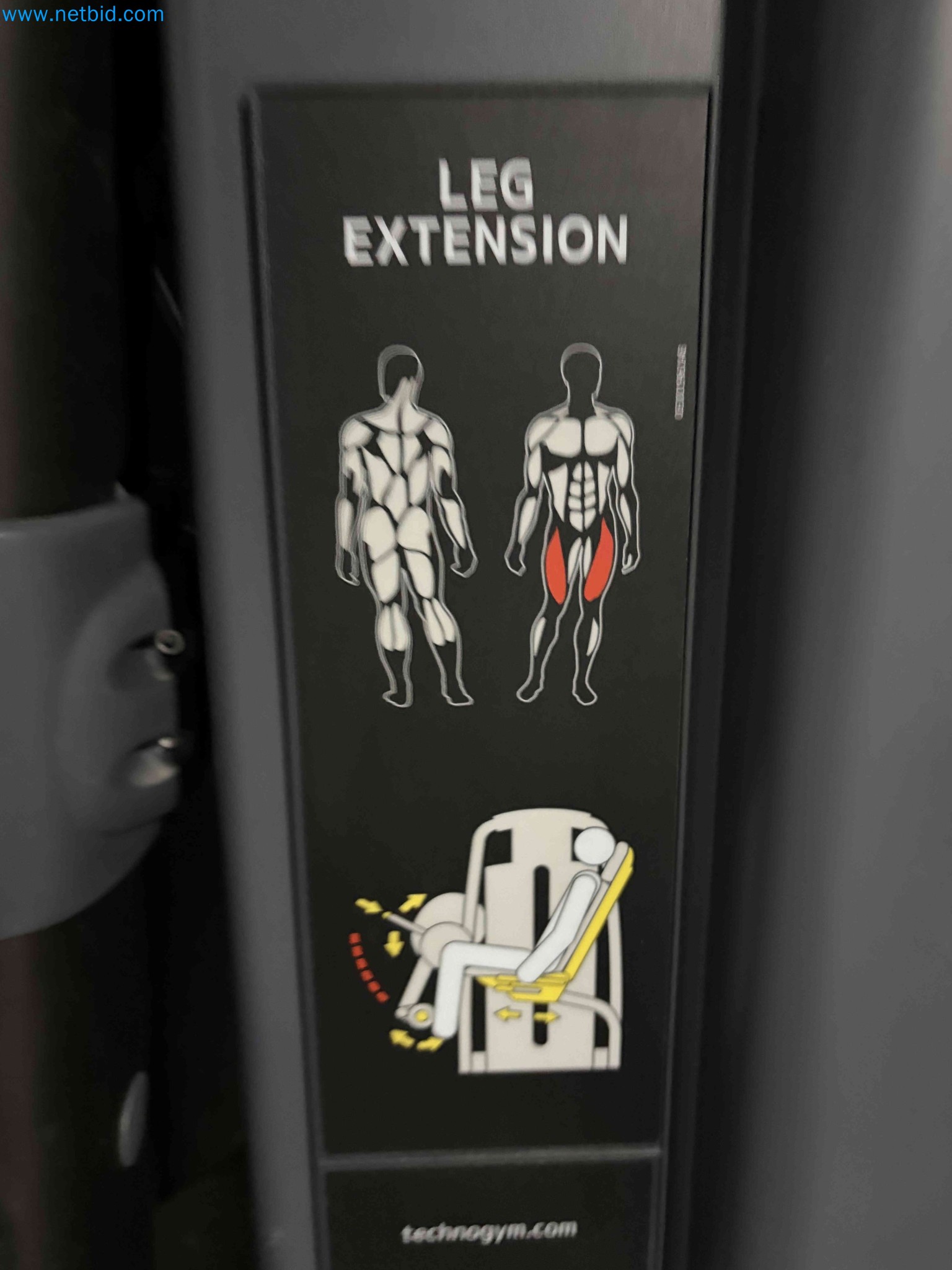 Auction of Used Technogym Gym Equipment – Professional Fitness Machines-4