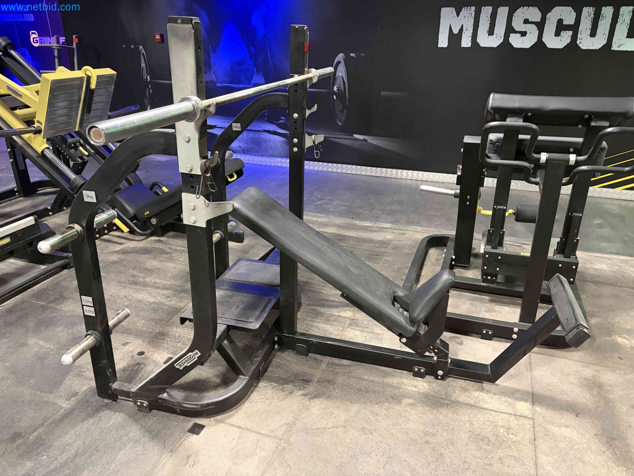 Auction of Used Technogym Gym Equipment – Professional Fitness Machines-12