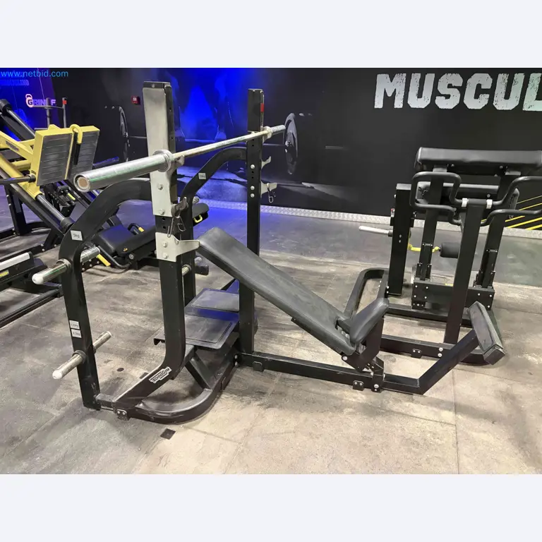 Auction of Used Technogym Gym Equipment – Professional Fitness Machines-12
