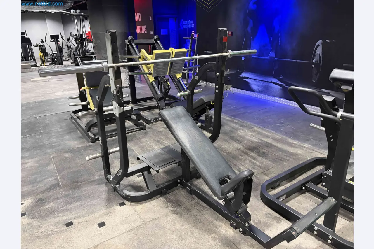 Auction of Used Technogym Gym Equipment – Professional Fitness Machines-1
