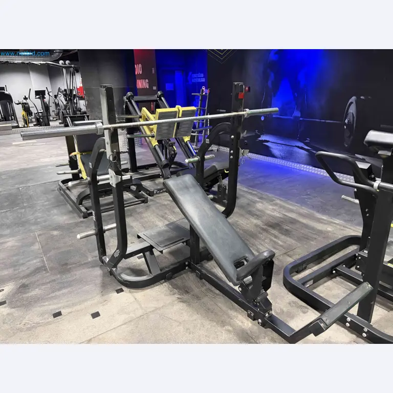 Auction of Used Technogym Gym Equipment – Professional Fitness Machines-1