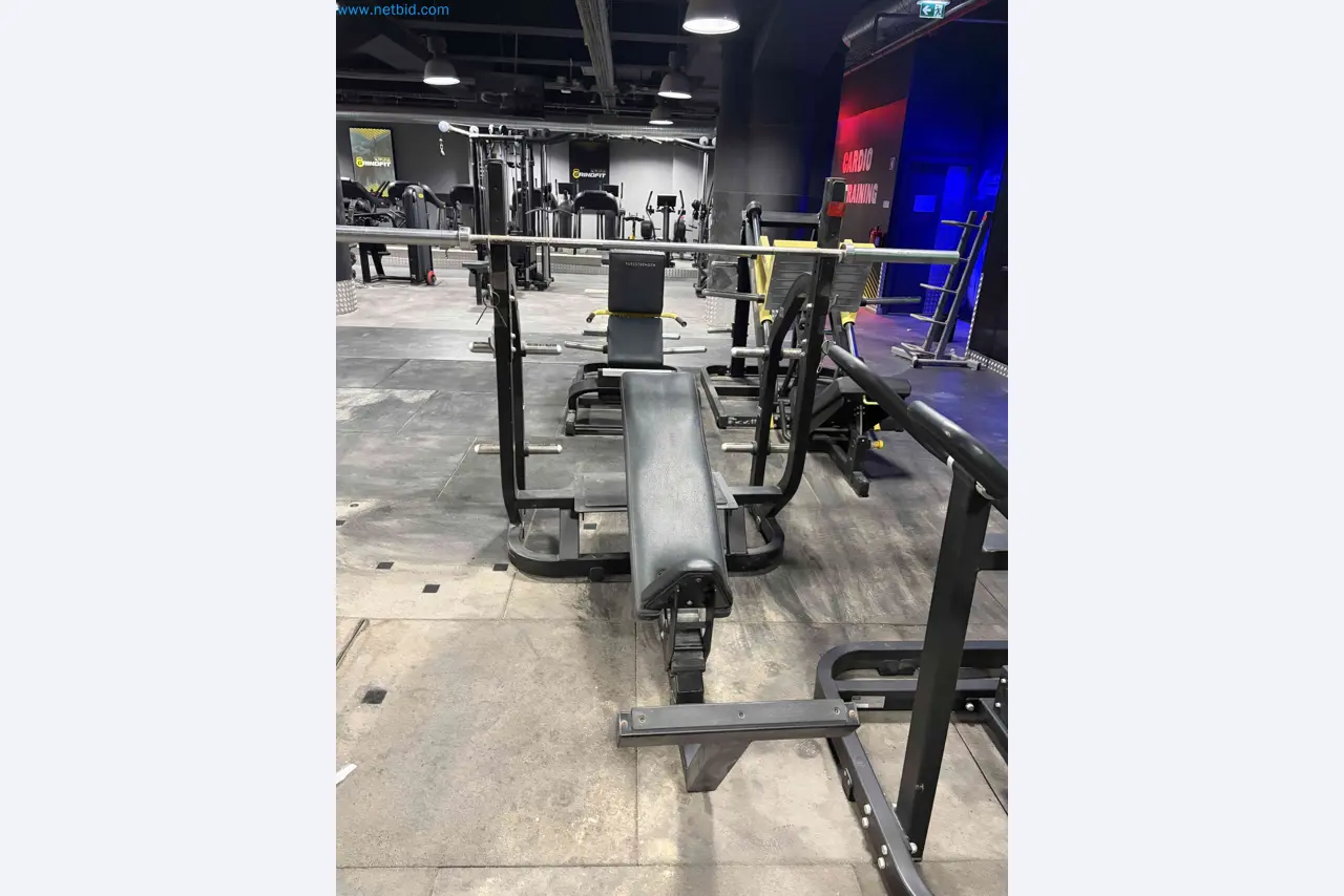 Auction of Used Technogym Gym Equipment – Professional Fitness Machines-2